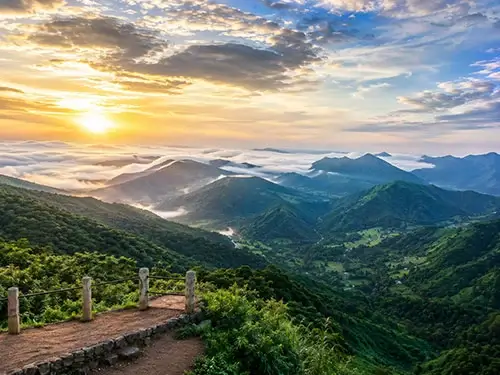 anaikatti hill view point near maayaa hillside