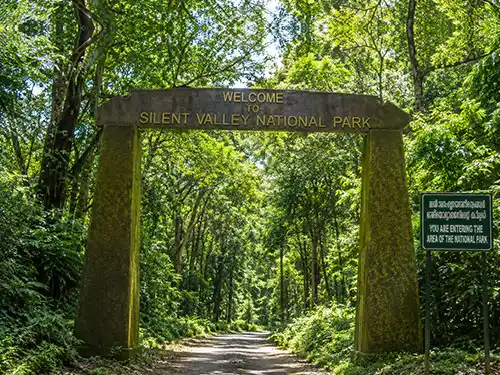 silent valley national park near-maayaa hillside anaikatti