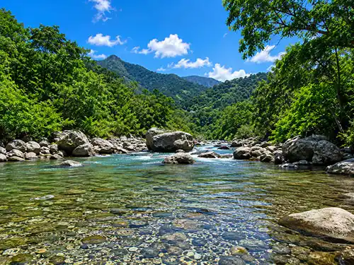 Siruvani River near Anaikatti famous for crystal clear water