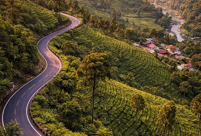 coonoor stay