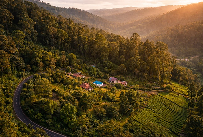 places to stay in ooty