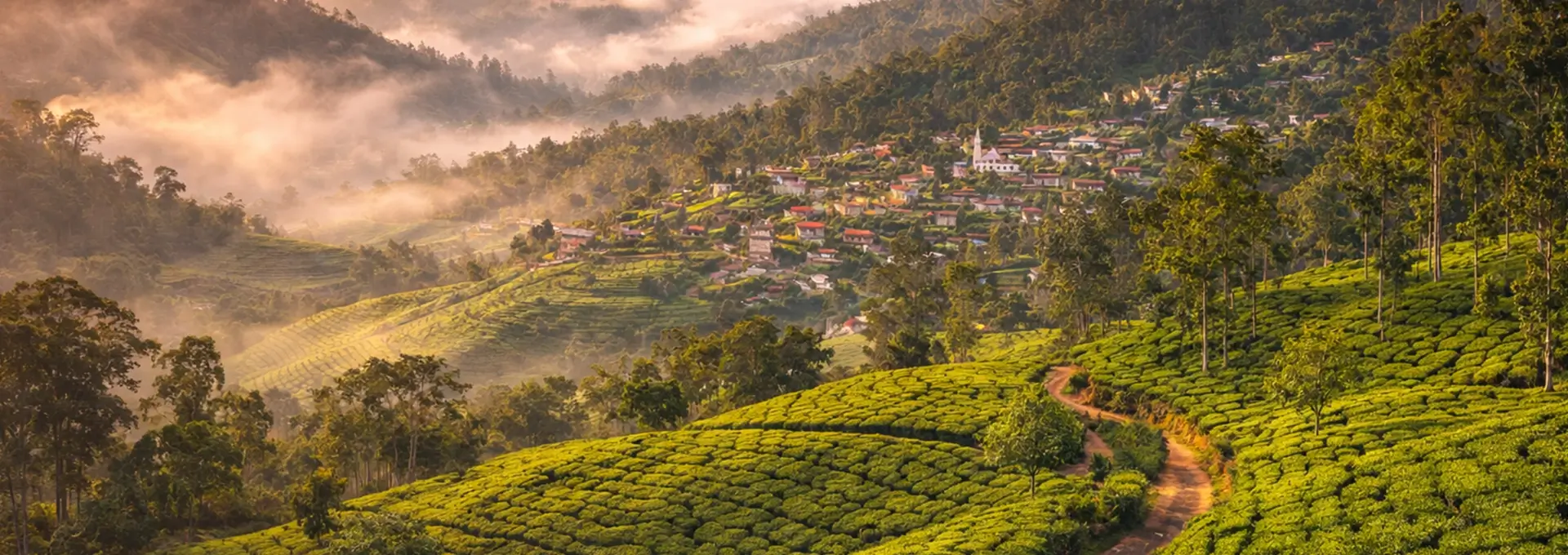best-places-to-stay-in-kotagiri