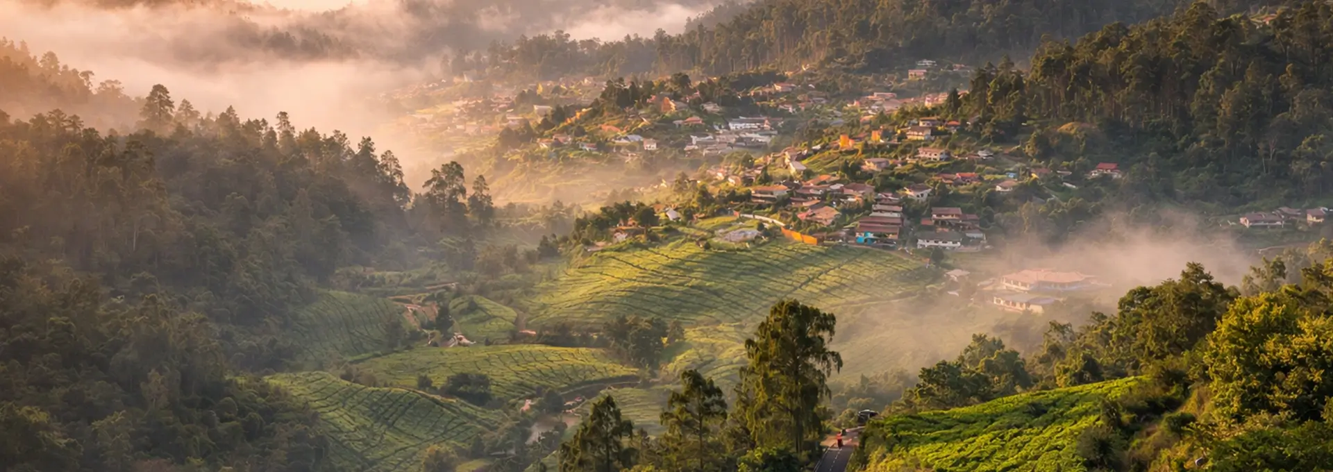 luxury villas in ooty