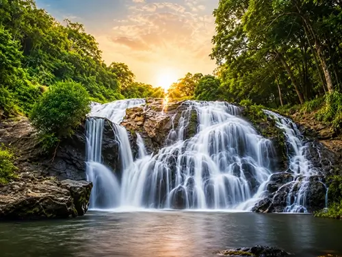 Catherine Waterfalls in Kotagiri, Nilgiris surrounded by lush green forests and misty hills.