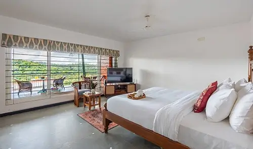Canopy Suite forest view