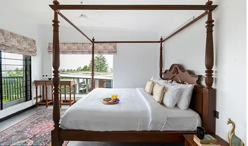 Serenity Suite forest view