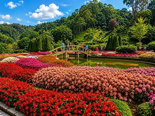 Colorful roses blooming at the Government Rose Garden in Ooty, Nilgiris.