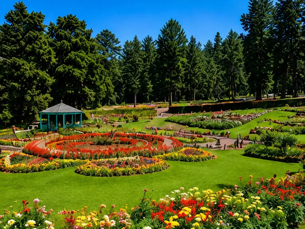 Beautiful botanical gardens and landscaped pathways at Sims Park in Coonoor, Nilgiris.