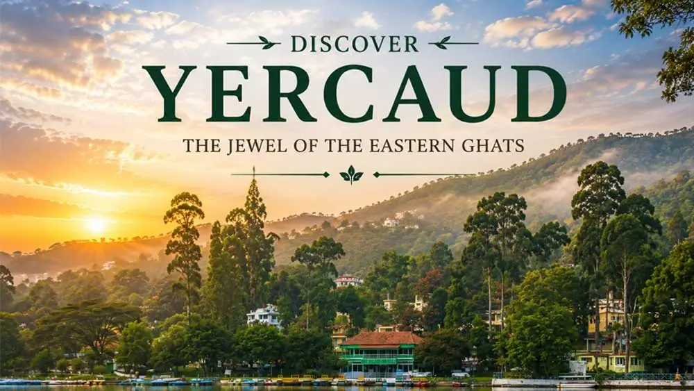 Scenic Yercaud hills surrounded by lush greenery and luxury villa stays